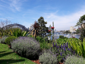 Héloïse De Ré, Sydney, Lavender Bay